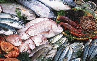 86 % des poissons vendus dans les supermarchés sont pêchés selon des méthodes non durables