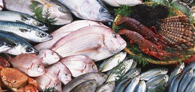 86 % des poissons vendus dans les supermarchés sont pêchés selon des méthodes non durables