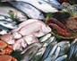 86 % des poissons vendus dans les supermarchés sont pêchés selon des méthodes non durables