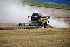 agriculture