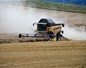 agriculture