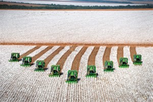 Agriculture intensive