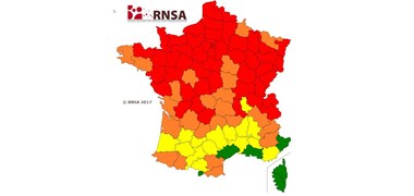 Allergies : les pollens sont bien installés sur la quasi-totalité de l'hexagone