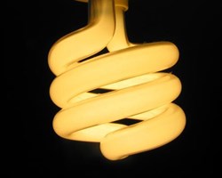 Ampoule fluorescente