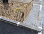 Arbres de pluie : la métropole de Lyon travaille à rendre la ville plus perméable