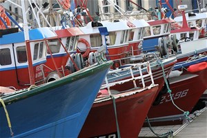 Bateaux de pêche