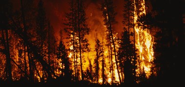 La Californie en proie au pire incendie de son histoire