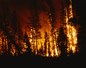 La Californie en proie au pire incendie de son histoire