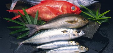 Que connaissez-vous de la pêche française ?