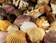 Coquillages