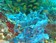 Corail bleu - fonds sous-marin