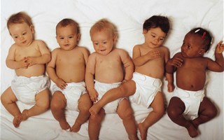 Les couches jetables pour bébé contiennent trop de produits chimiques toxiques selon l'ANSES