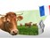 L'élevage bovin herbarger est-il durable ?