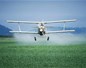 Epandage par avion de pesticides