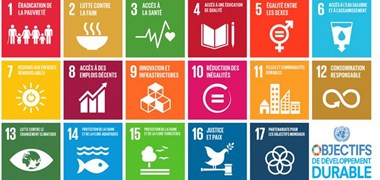 C'est la Semaine du Développement Durable 2017 !