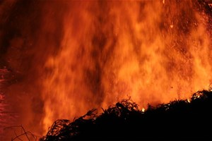 Feu de forêt