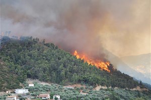Feux de forêts en Grèce