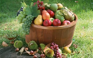 Les fruits et légumes non bio ont trop de résidus de pesticides