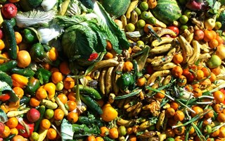 Gaspillage alimentaire : 10 millions de tonnes de nourriture gaspillée par an en France