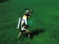 Homme aspergeant un champs de pesticides