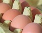 Les industriels se détournent des œufs de poules élevées en cage