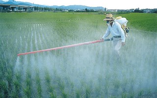 Interdiction des pesticides