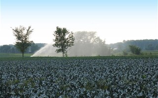 Irrigation d'un champs
