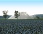 Irrigation d'un champs