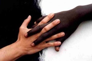 Lutte contre le racisme