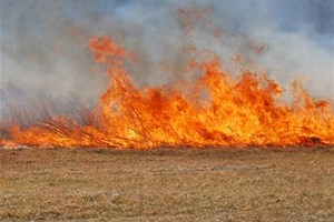 Maîtrise d'un feu de forêt