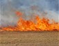 Maîtrise d'un feu de forêt