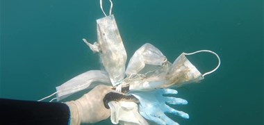 Des masques et des gants jetables déjà retrouvés dans la mer méditerranée