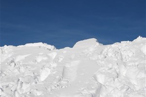 Neige