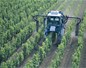 Pesticides dans les vignes