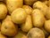 Pomme de terre OGM