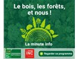Qu'est-ce que la sylviculture et comment sont gérées nos forêts ?
