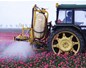 Un rapport explosif de l'ANSES pointe le danger des pesticides pour les agriculteurs