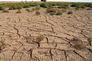 Réchauffement climatique