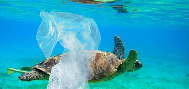 Les sacs plastiques jetables désormais interdits