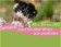 Semaine pour les alternatives aux pesticides 2011