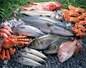 Surconsommation de poisson en France