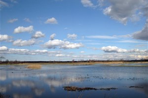 Terrain inondé
