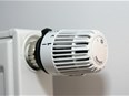 Thermostat de chauffage-radiateur