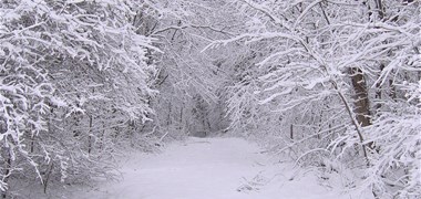 Une vague de froid et neige-verglas arrive sur la France