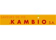 Kambio