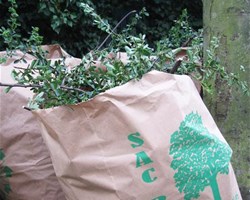 Déchets verts dans sac biodégradable