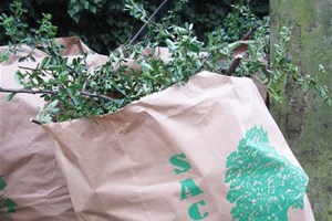 Déchets verts dans sac biodégradable