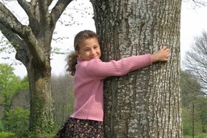 Enfant qui protège un arbre