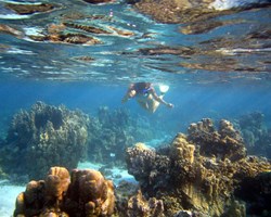 Plongeur et fonds marins