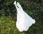 Sac plastique dans nature